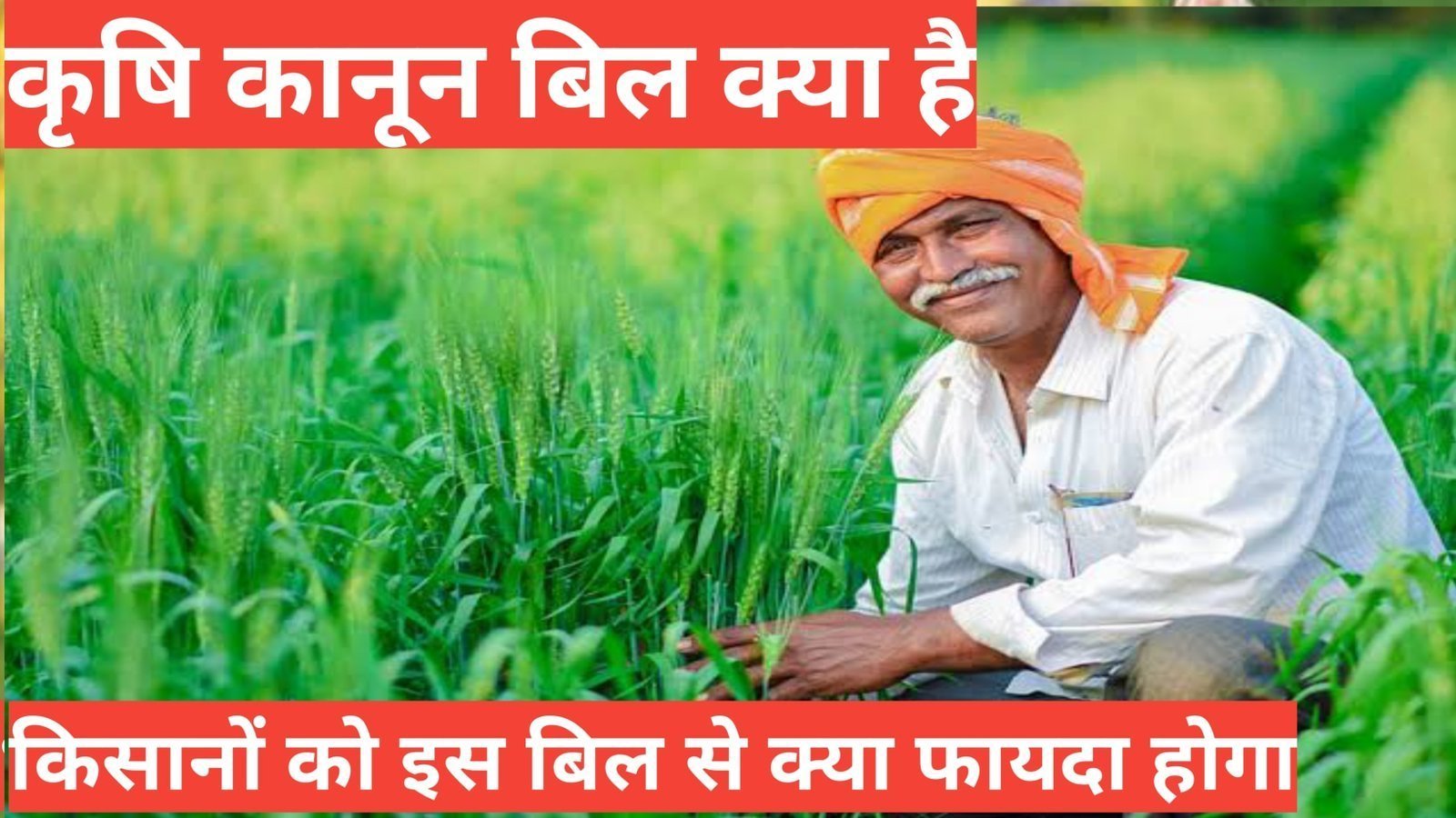 krishi kanoon bill kya hai | what is krishi kanoon bill krishi kanoon bill kya hai और इस बिल का बिरोध क्यों हो रहा है